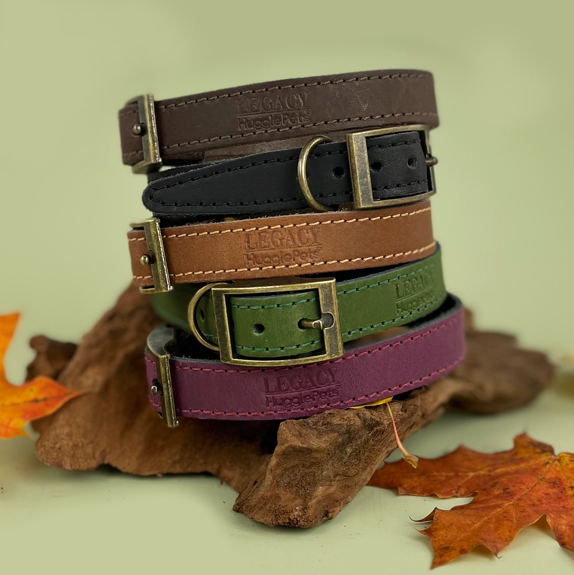 HugglePets – wholesale Pet collar – Dog – HugglePets Legacy Leather Dog Collar30