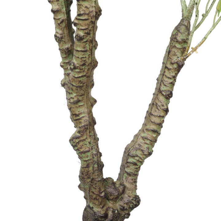 Designer Plants AU - Wholesale Artificial plant - Potted Artificial Eucalyptus Tree (White Box Eucalyptus Albens) 120cm2