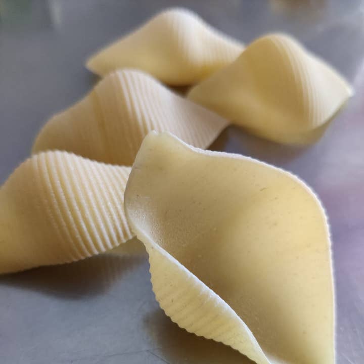 Conchiglioni Rigati - Italian Pasta - 500g for wholesale by Gennaro 1919