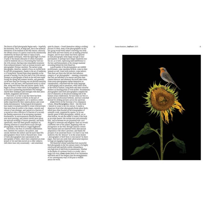 W. W. Norton - Wholesale Display Book - Aviary: The Bird in Contemporary Photography2