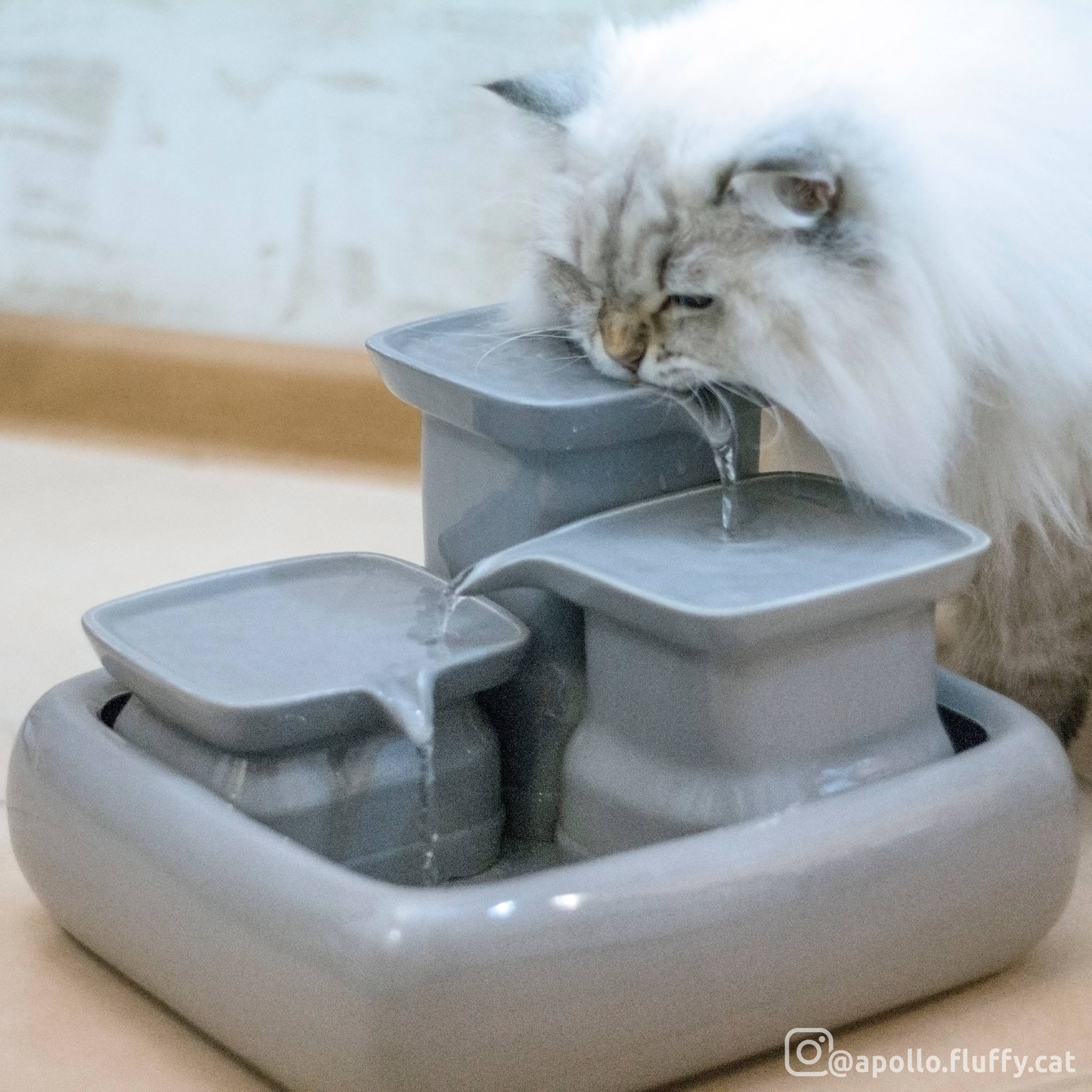Miaustore – wholesale Pet bowl – Cat/dog – Cat fountain ceramic standard3