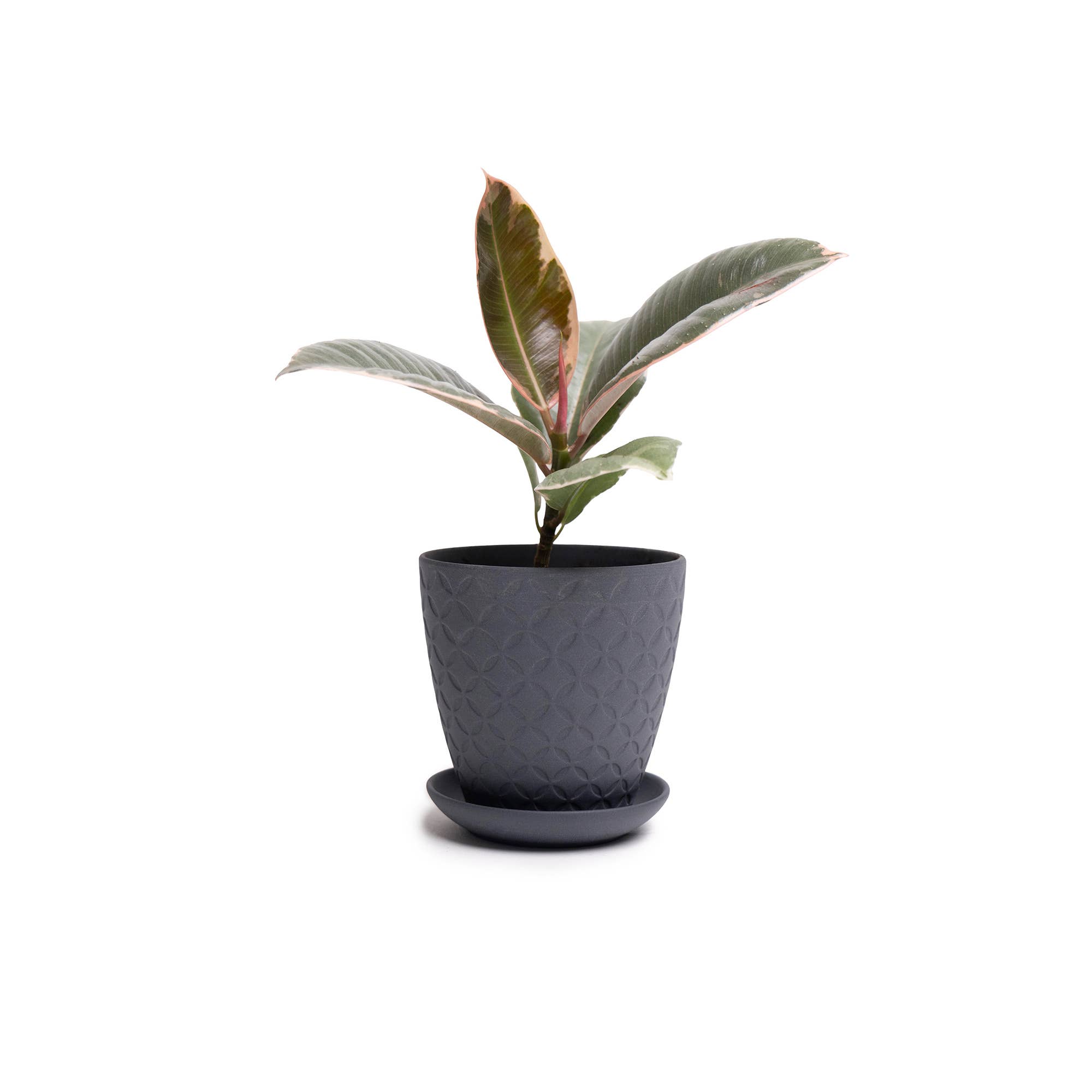 Chive - Wholesale Plant Pot - Handmade Ceramic Virago Pots | Artisan Plant Planters9