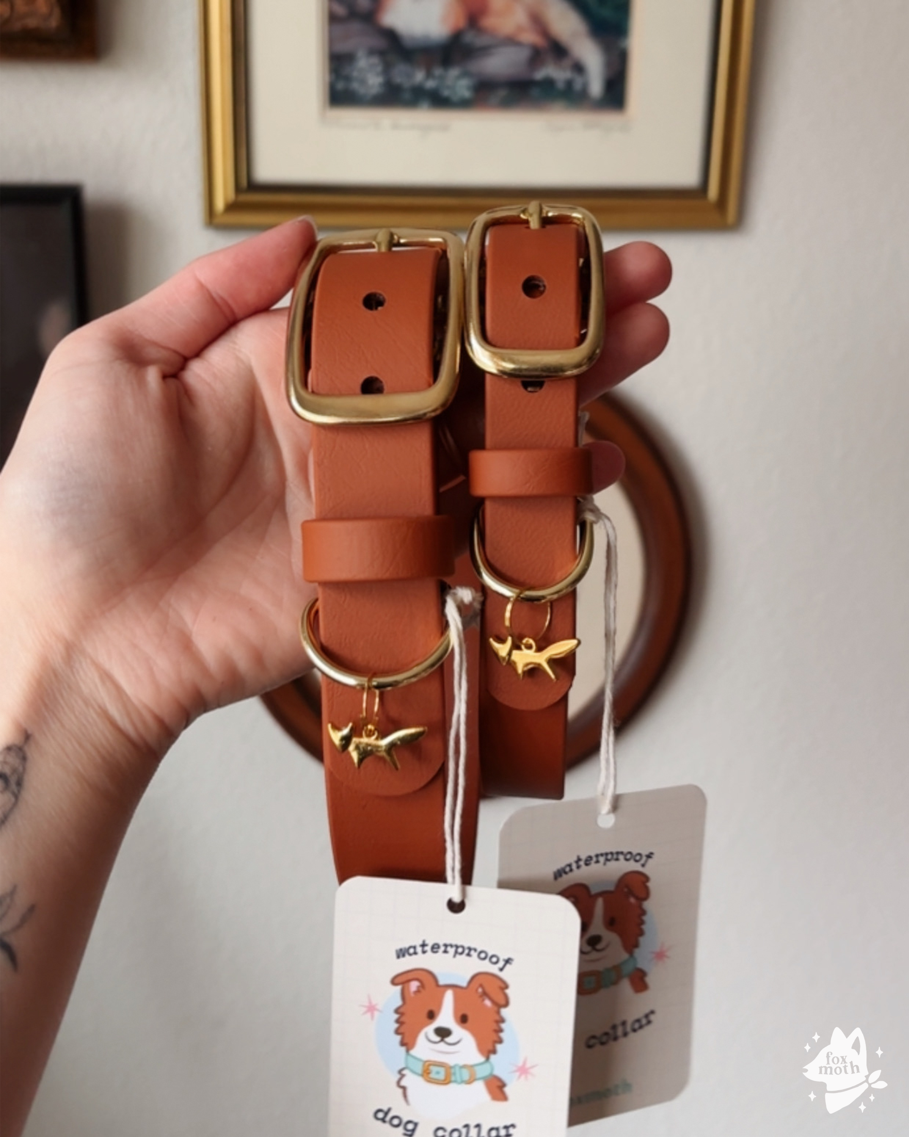 FoxMoth - Wholesale Pet Collar - Dog - Modern Waterproof Biothane Dog Collar [All 17+ Colors]24