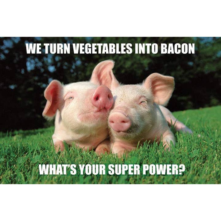 VisionWorks LLC - Wholesale Postcard - Postcard. Pigs with Superpowers. Veges to Bacon.