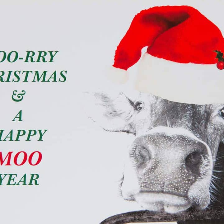 Tarjeta de Felicitación Moory Christmas para venta al por mayor de Kelly Hood Art & Design Studio