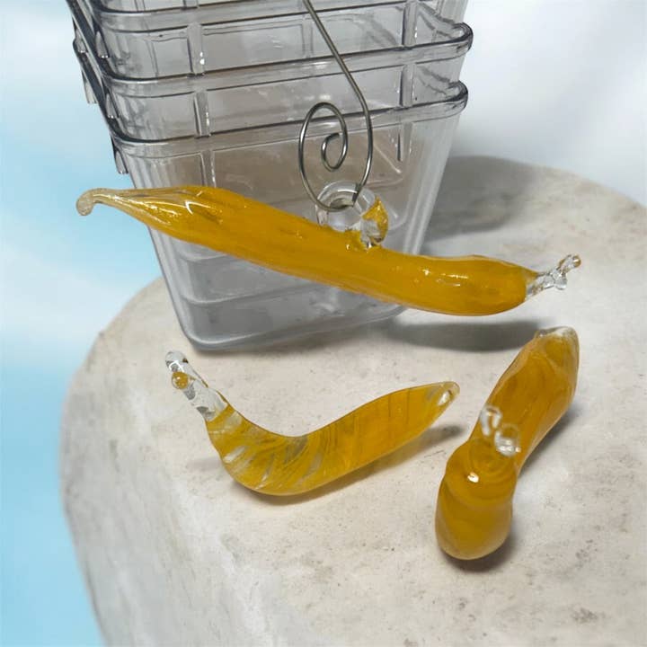 Slug Lovers Box- Set of 3 with box for wholesale by Terrapin Glass Gardens
