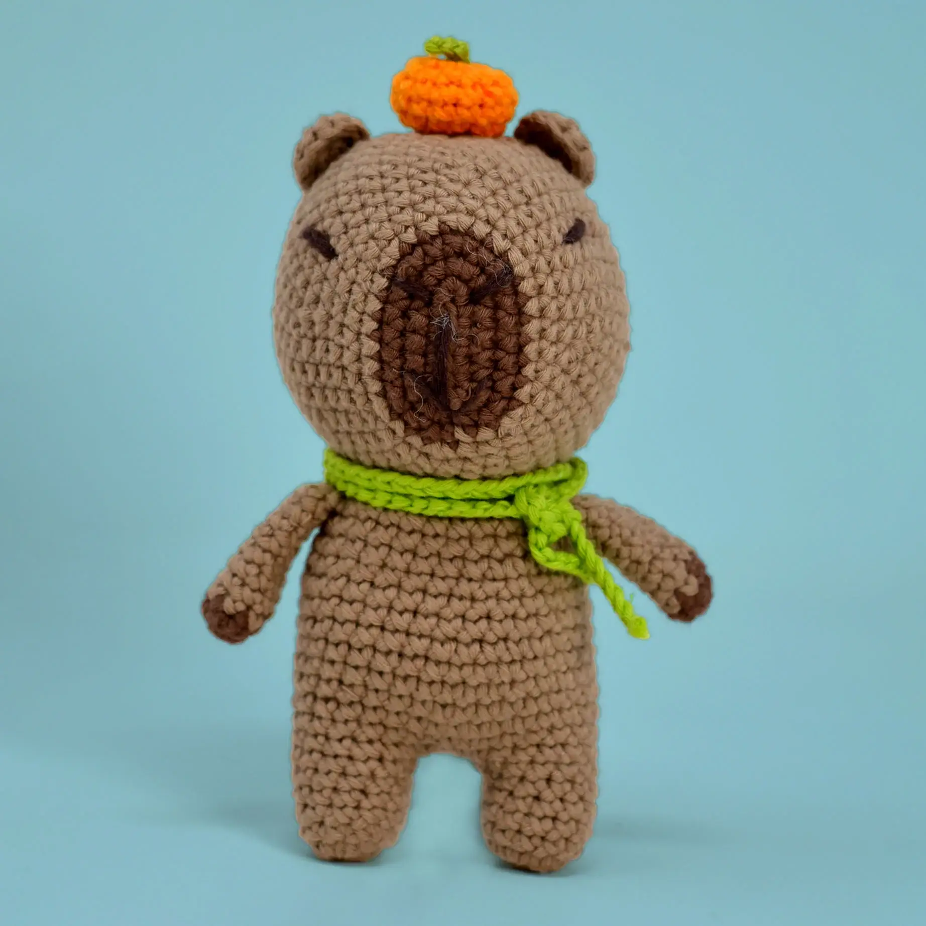 Creative World of Crafts - Vente Accessoire de tricot/crochet - Knitty Critters - Pouch Pals - Caroline Capybara1