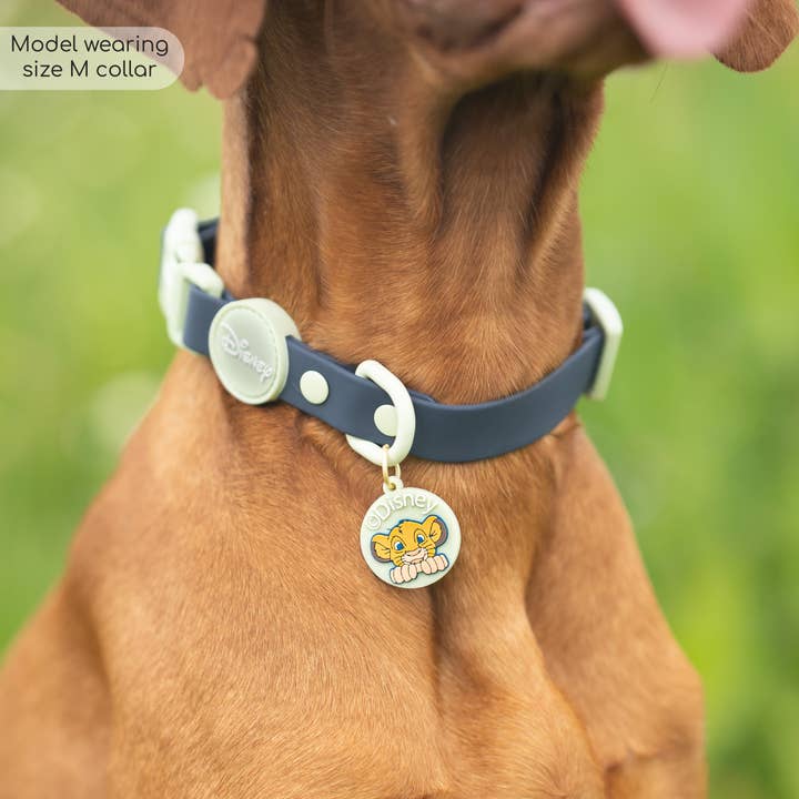 Pawsome Paws - Wholesale Pet Collar - Dog - Disney© Waterproof Collar - Simba5