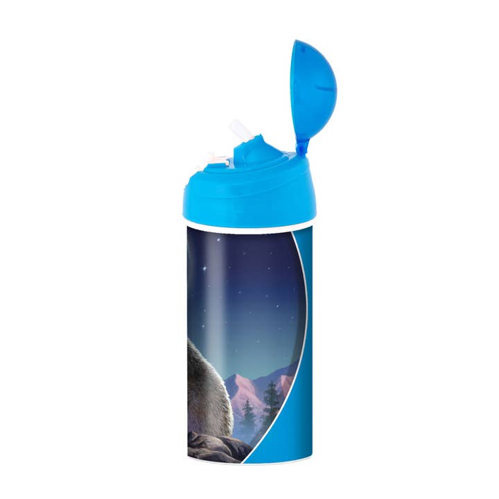 Deluxebase - Wholesale Water Bottle - 3D LiveLife Bottles - Moonlight Sonata1