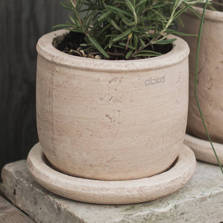 TERRA 14 - sable pour la vente par DBKD