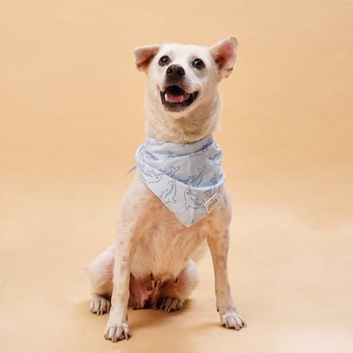 The Paws - Wholesale Pet Bandana - Dog - North End Dog Bandana