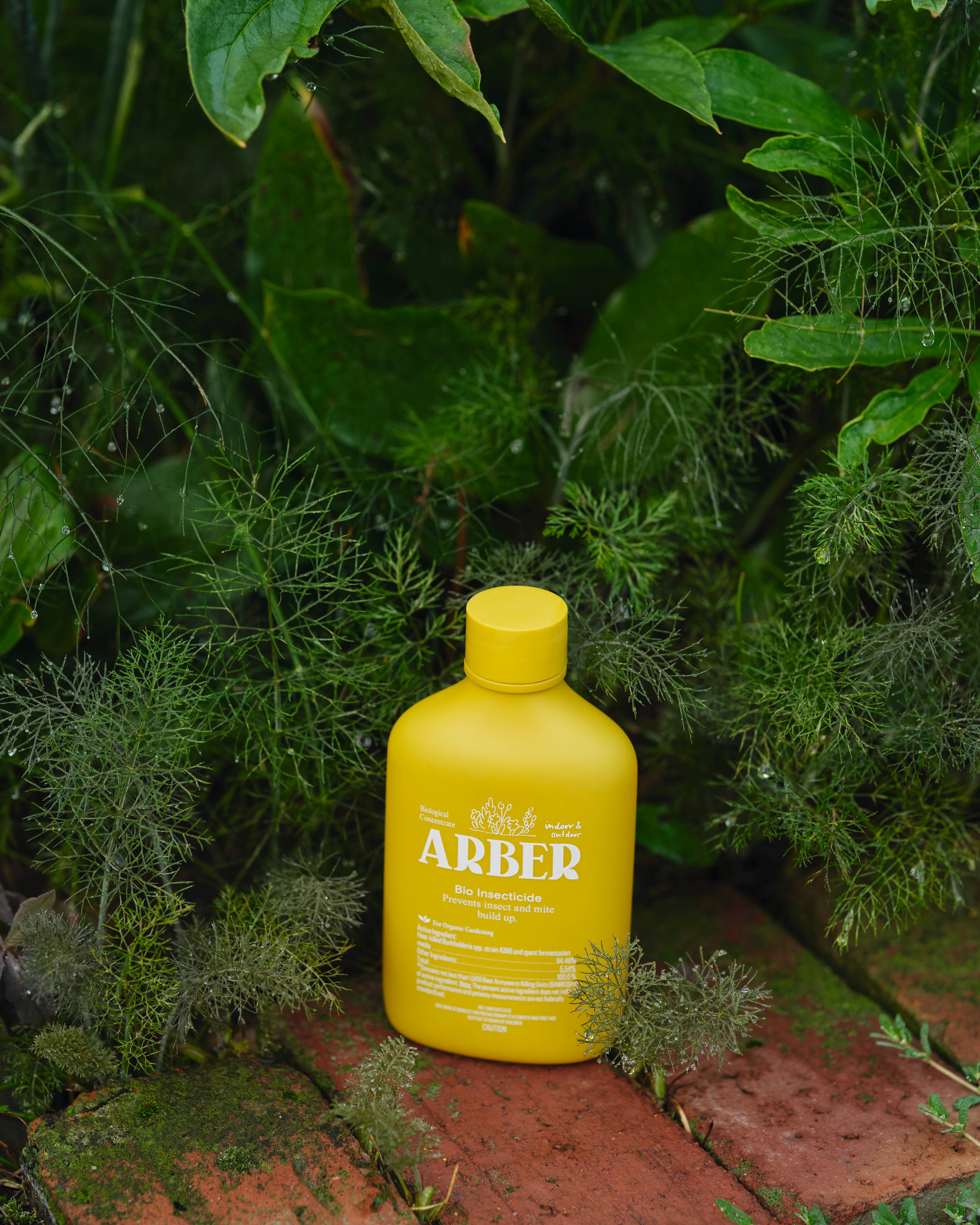 Arber - Wholesale Insect Repellent - Organic Arber Bio Insecticide 8oz