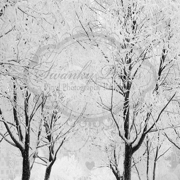 7ft x 10ft vinyl fotografie achtergrond/winter bos/sneeuw voor wholesale door Swanky Prints