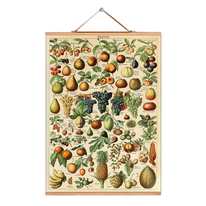 Scorri l'illustrazione n. 042 /Millot/Fruits A per la vendita all'ingrosso da parte di Eicie