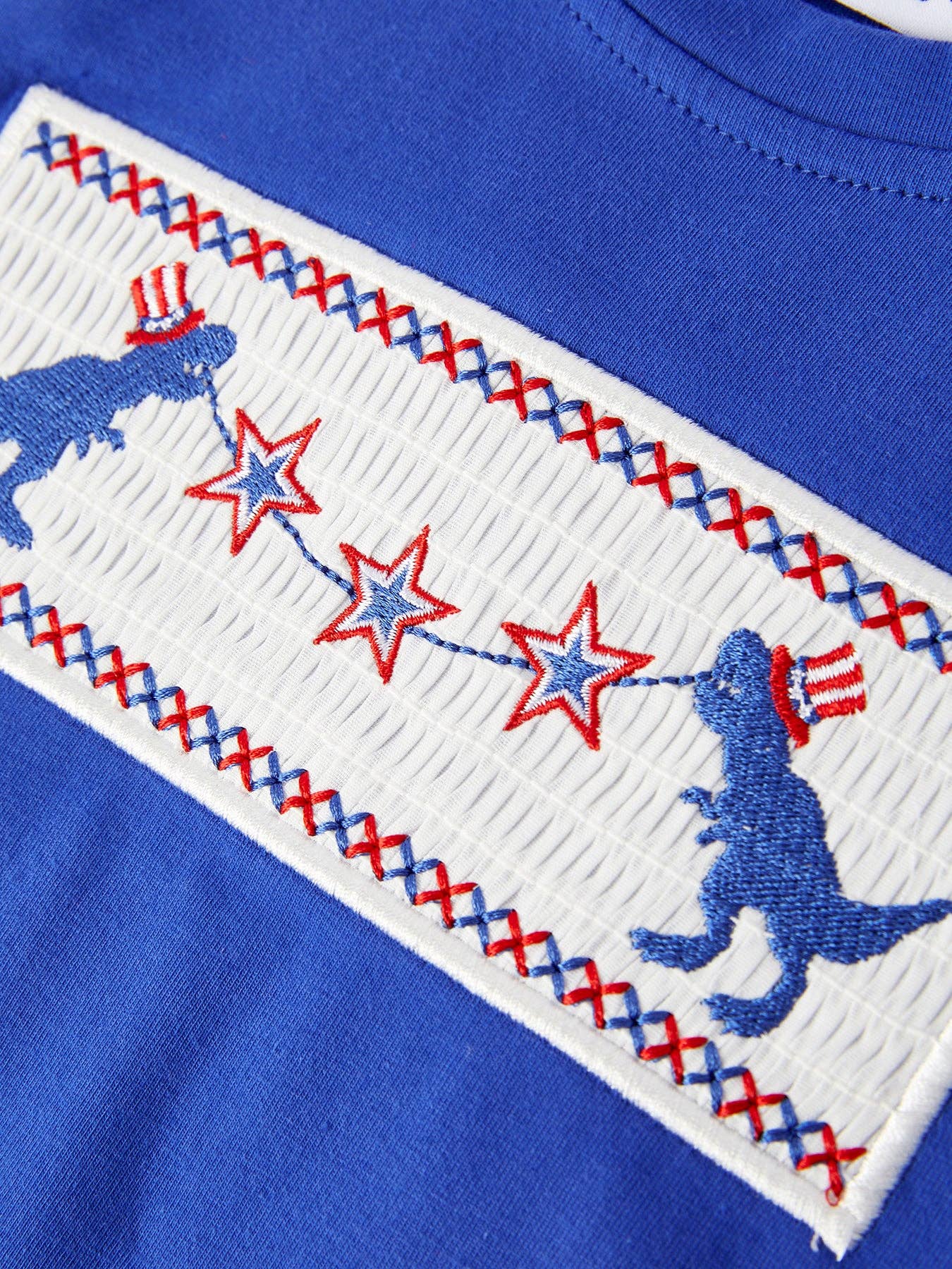 Rylee Faith Designs - Wholesale Top & Short Set - Kids - Dinosaur Smock Embroidery Boys Short Sleeved Shorts4