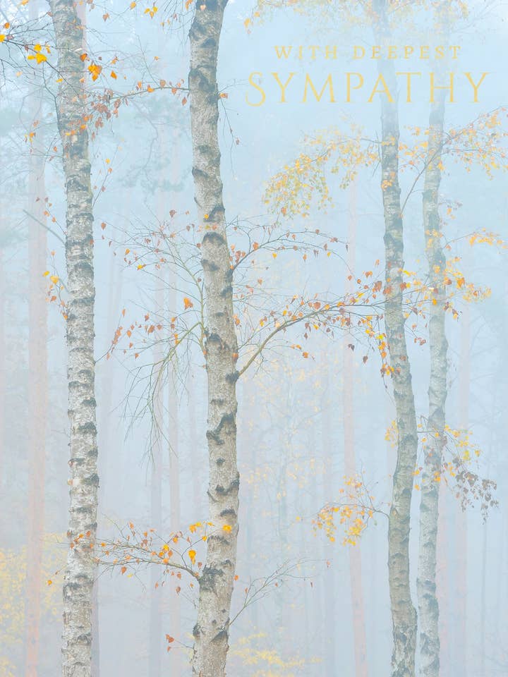 SYMPATHY GREETING CARD BIRCH TREES ABACUS for wholesale by Notes & Queries, Inc.