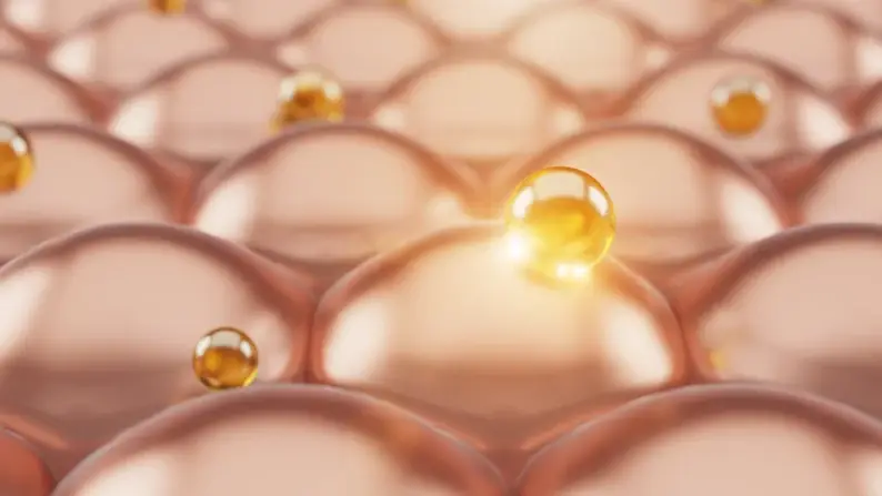 Coco jojo - Wholesale Facial Serum/Concentrate - Retinol Serum with Bakuchiol and Niacinamide4