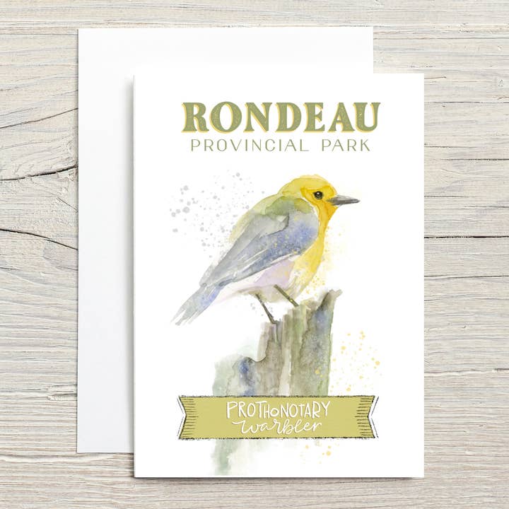 Nordamerikanskt djurliv: Prothonotarysångare för wholesale av Christy Obalek Illustration