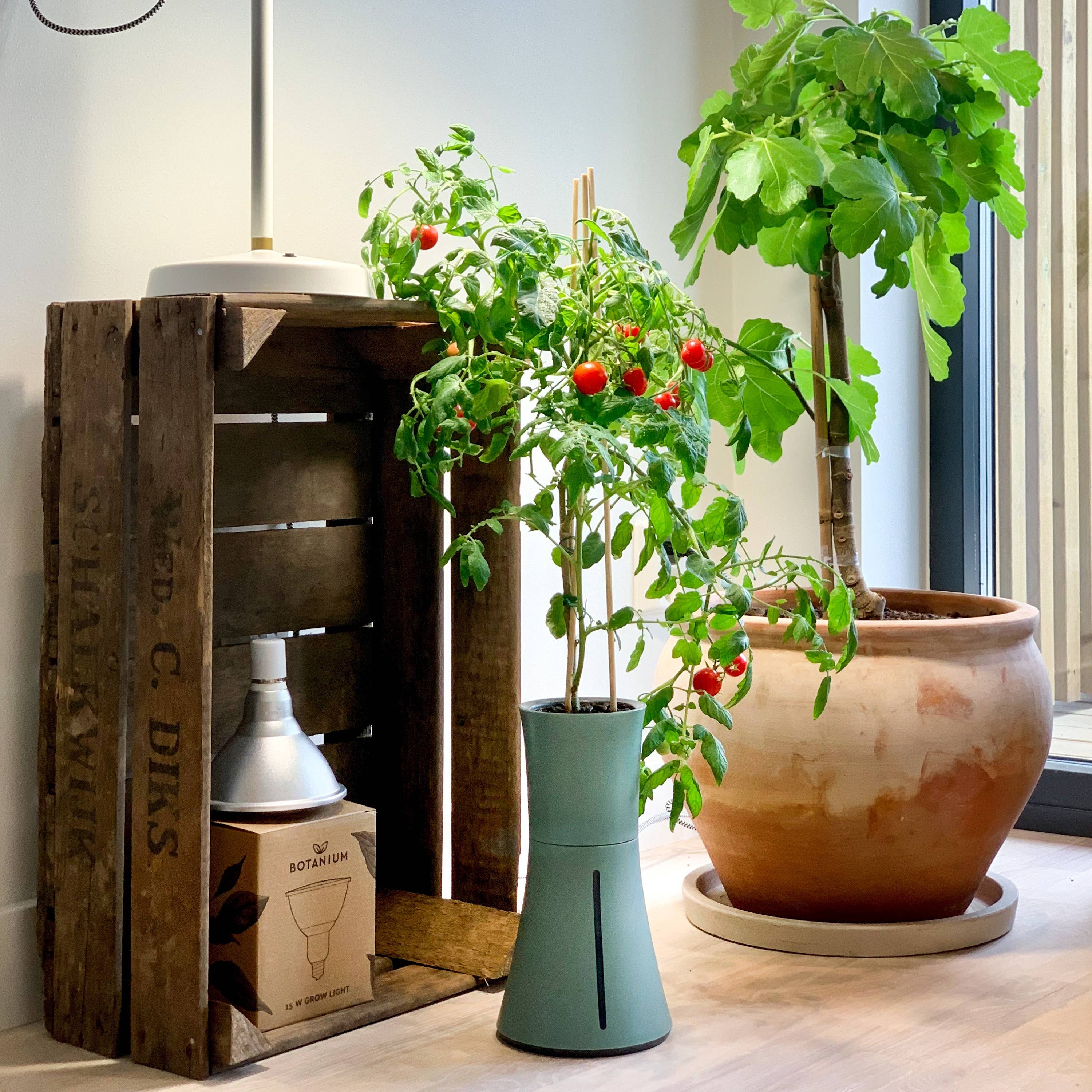 Botanium AB - Wholesale Plant Pot - Botanium - Laurel Green4