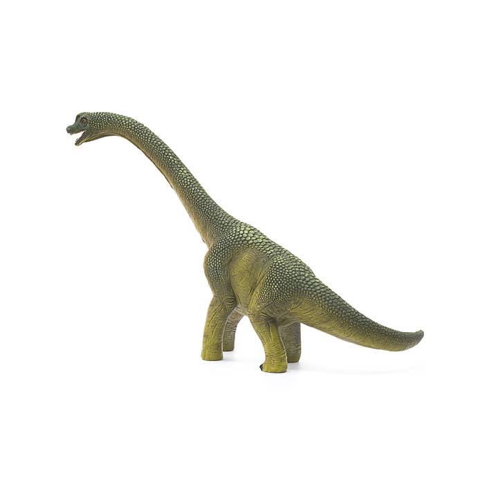 Schleich - Wholesale Figurine Toy - Kids - Brachiosaurus Realistic Dinosaur Toy