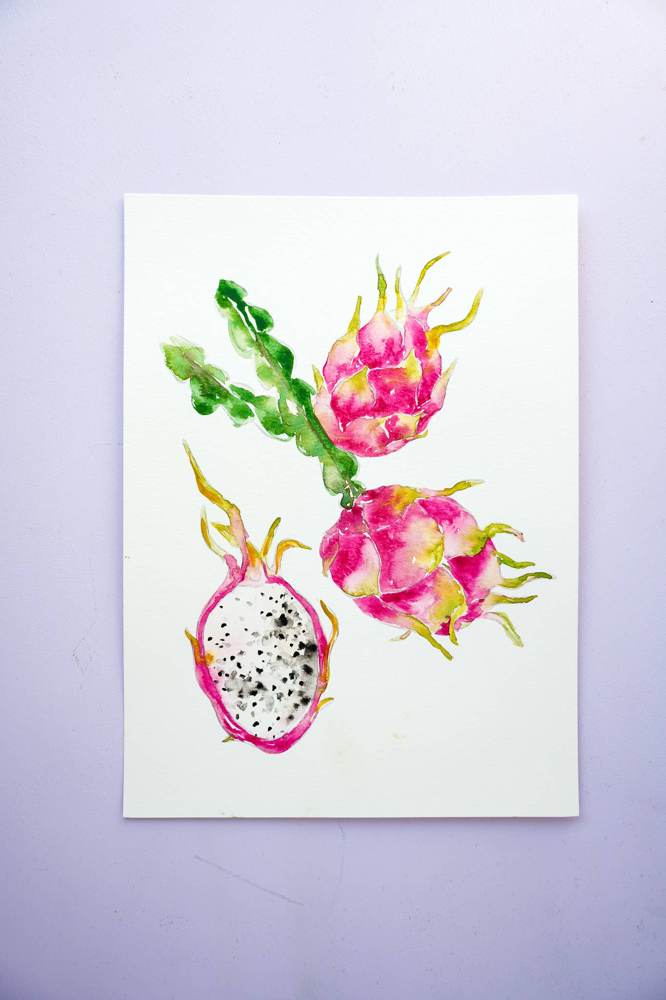 Jean Choe Art & Design - Wholesale Sketchbook/Sketchpad - Fruit Watercolor Workbook: Outlined Coloring Pages to Paint17