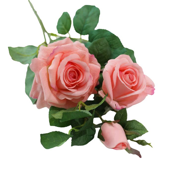 Angel Isabella – wholesale Konstgjorda blommor – 27"-Äkta beröring fuktad beläggning ros stjälk-Persikokorall