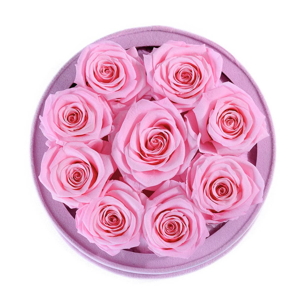 Rose Forever - Wholesale Dried/Pressed Flowers - 9 Pink Roses Suede – Timeless Floral Box1