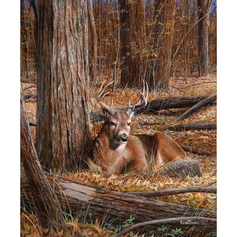 D3283-2P | Biancheria da letto con stampa artistica per la vendita all'ingrosso da parte di Roslyn Décor