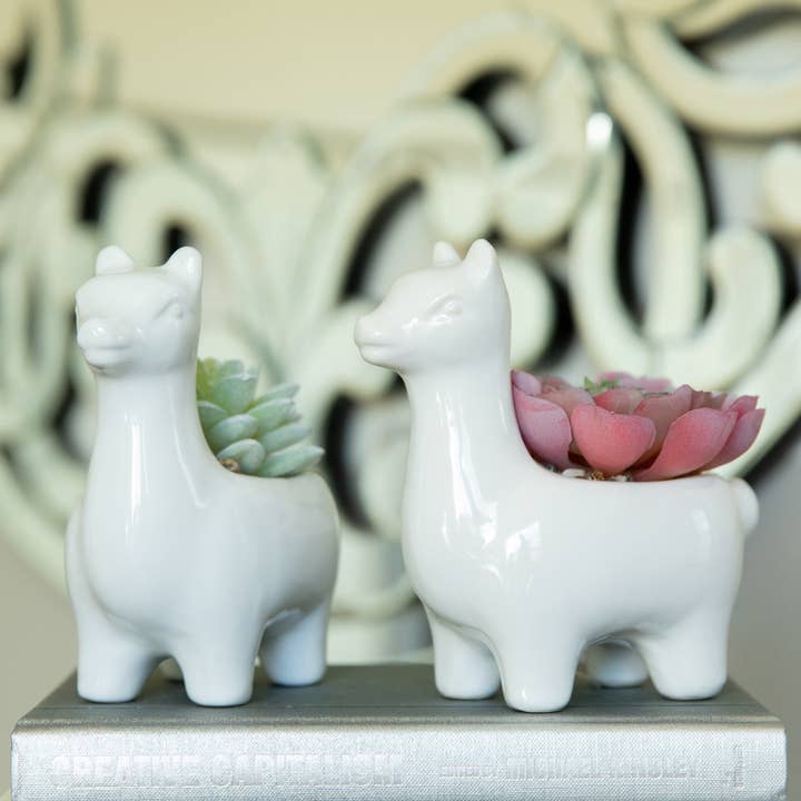Flora Bunda Inc - Wholesale Plant Pot - Pink Ceramic Llama Plant Pot - Set of 24