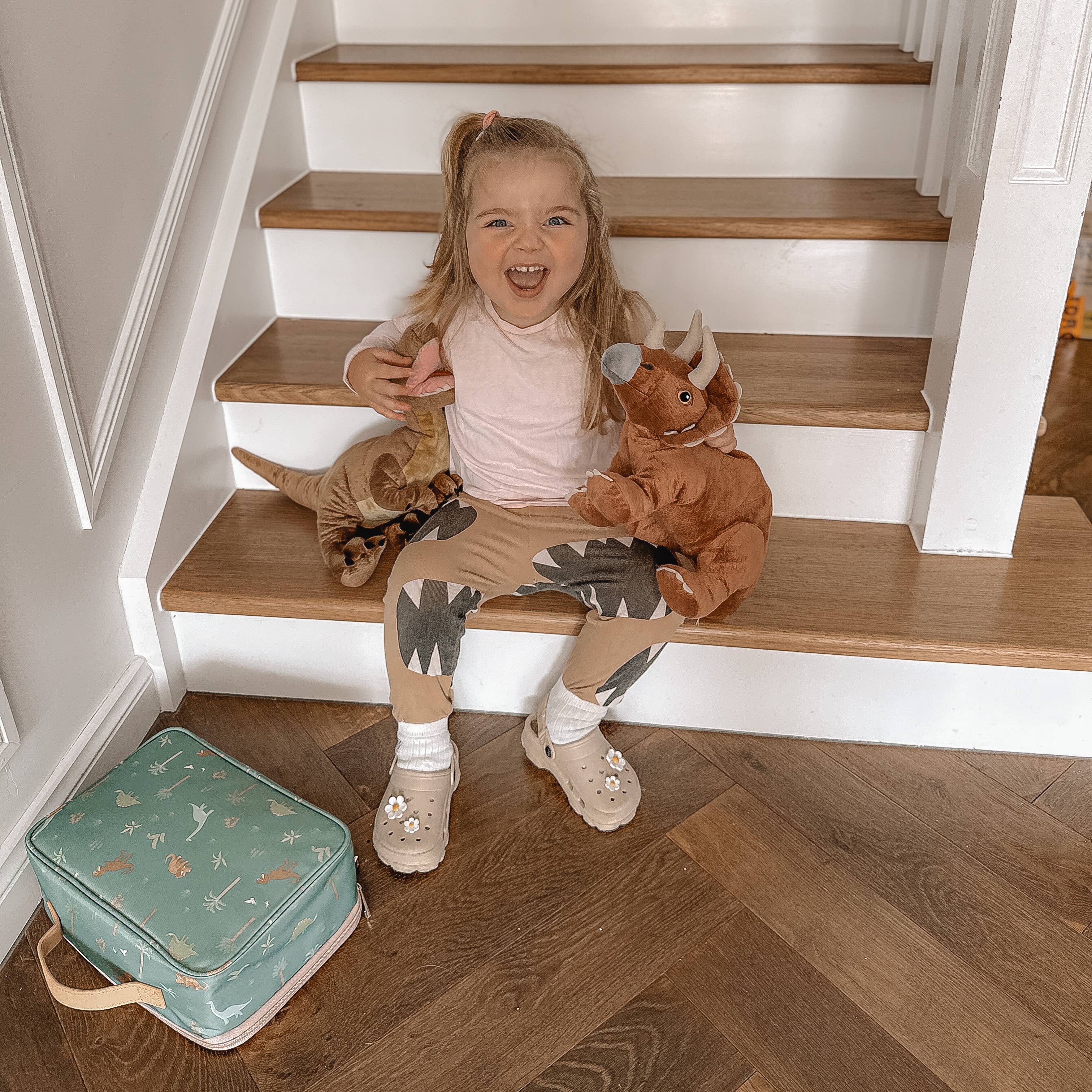 Fox & Fallow - Venta al por mayor Bolsa para almuerzo/fiambrera - Niños - Bolsa de Almuerzo Grande Dinos9