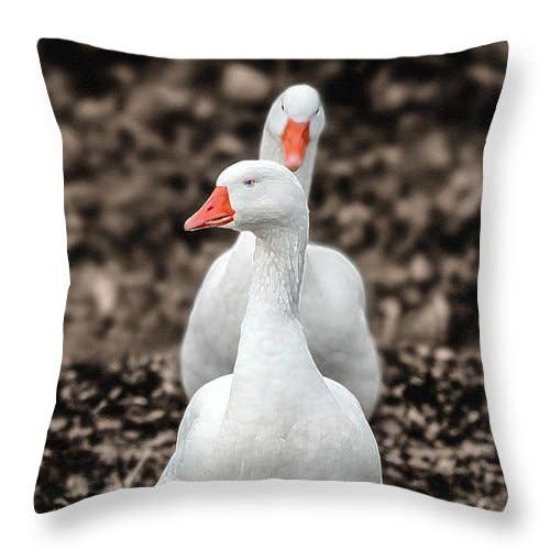 THE ARTISTIC GEESE'S CATWALK PILLOW for wholesale by sorayadapuzzostore