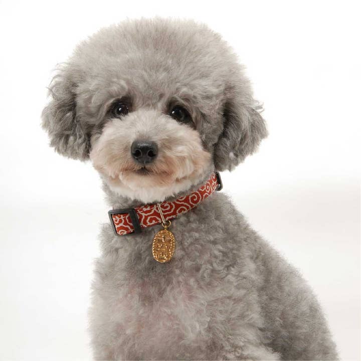 MOON-X USA, INC. - Venta al por mayor Collar - Perros - Collar para perro Ninja (pequeño, rojo)