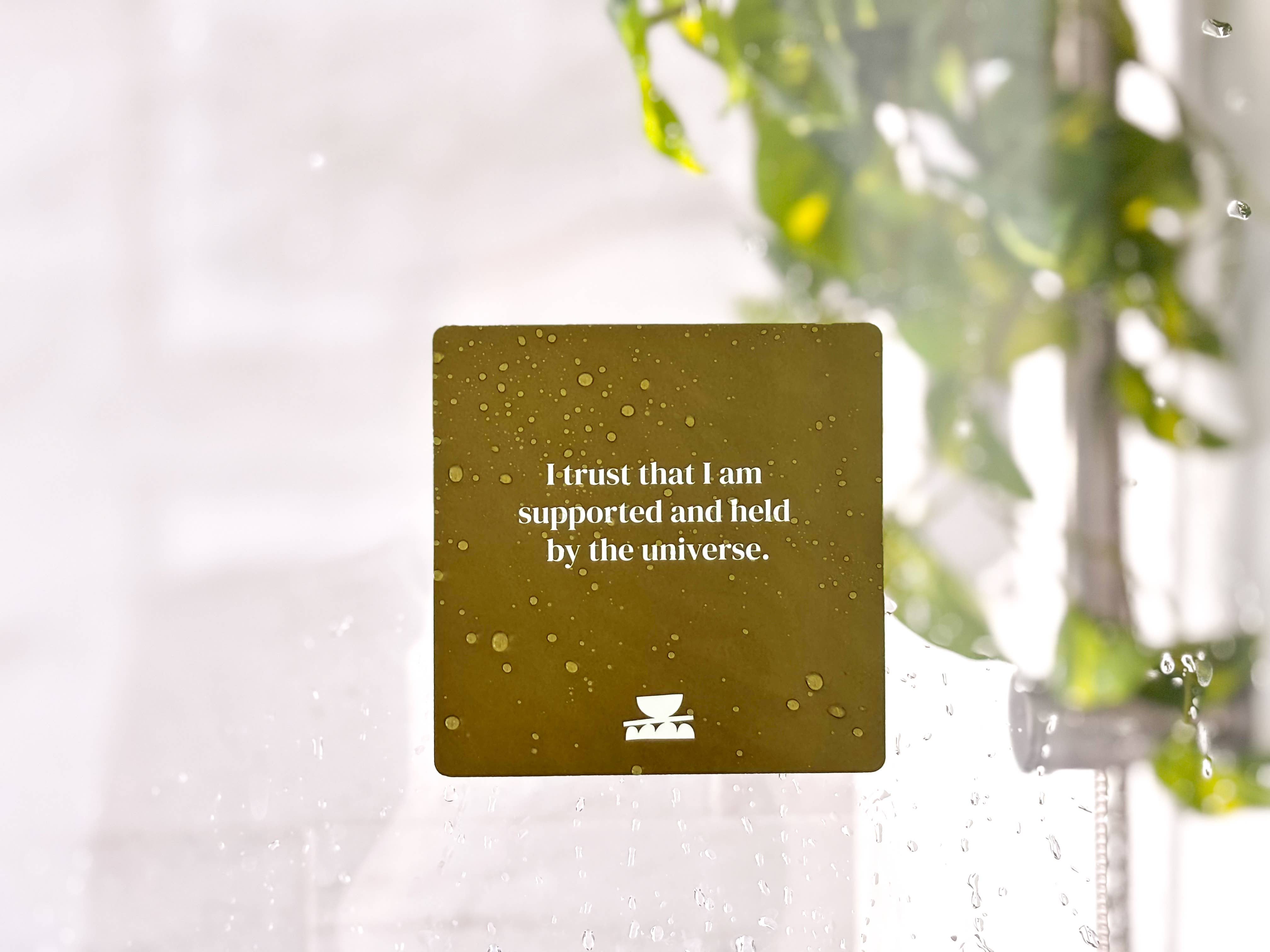 Goddess Provisions - Wholesale Bath & Body Set - Grounding Shower affirmations5