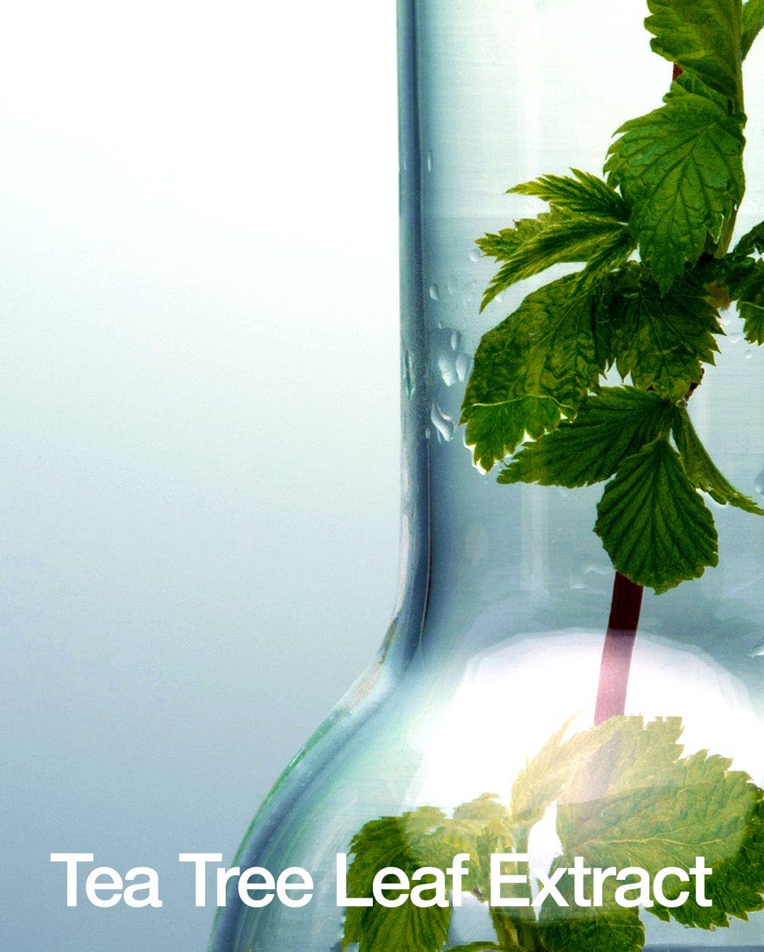 Best Beauty Group - Wholesale Facial Toner - ANUA BHA 2% Gentle Exfoliating Toner4