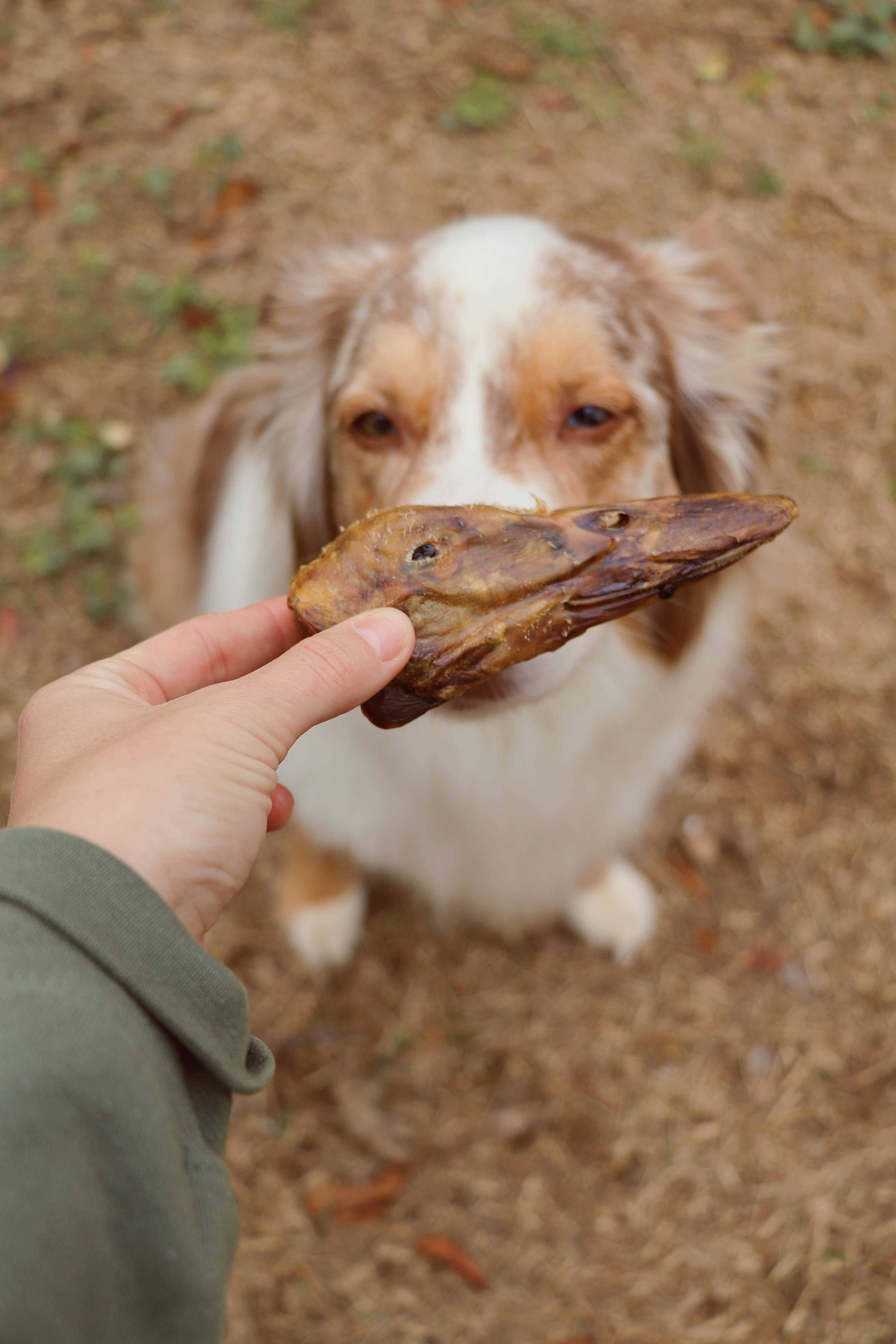 Gaines Family Farmstead - Wholesale Pet Treats - Dog - 30 ct Duck Heads 2