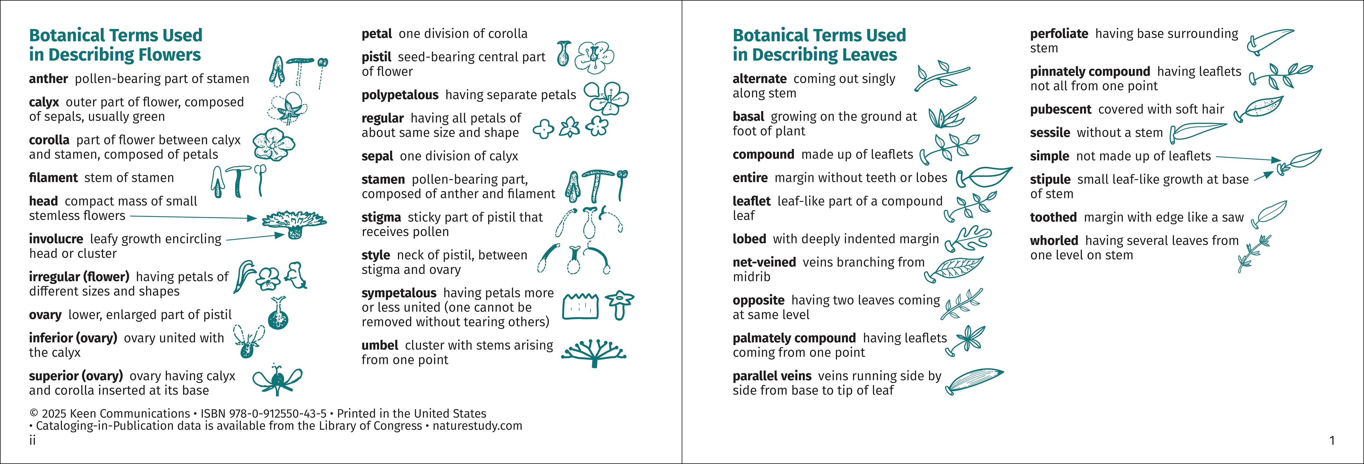 AdventureKEEN - Wholesale Nature & Outdoors - Flower Finder 2nd Edition12