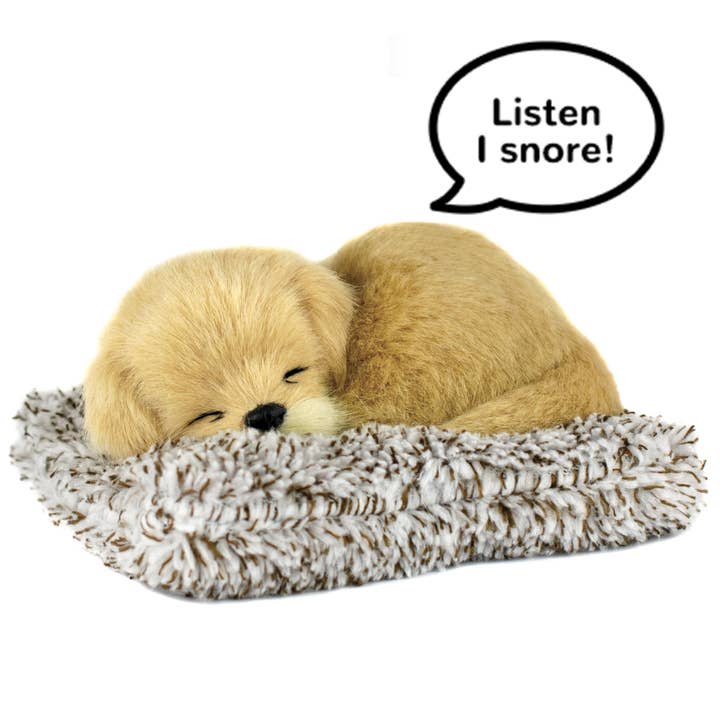 88Unlimited/Perfect Petzzz - Wholesale Stuffed/Plush Toy - Kids & Baby - Mini 01 - Golden Retriever