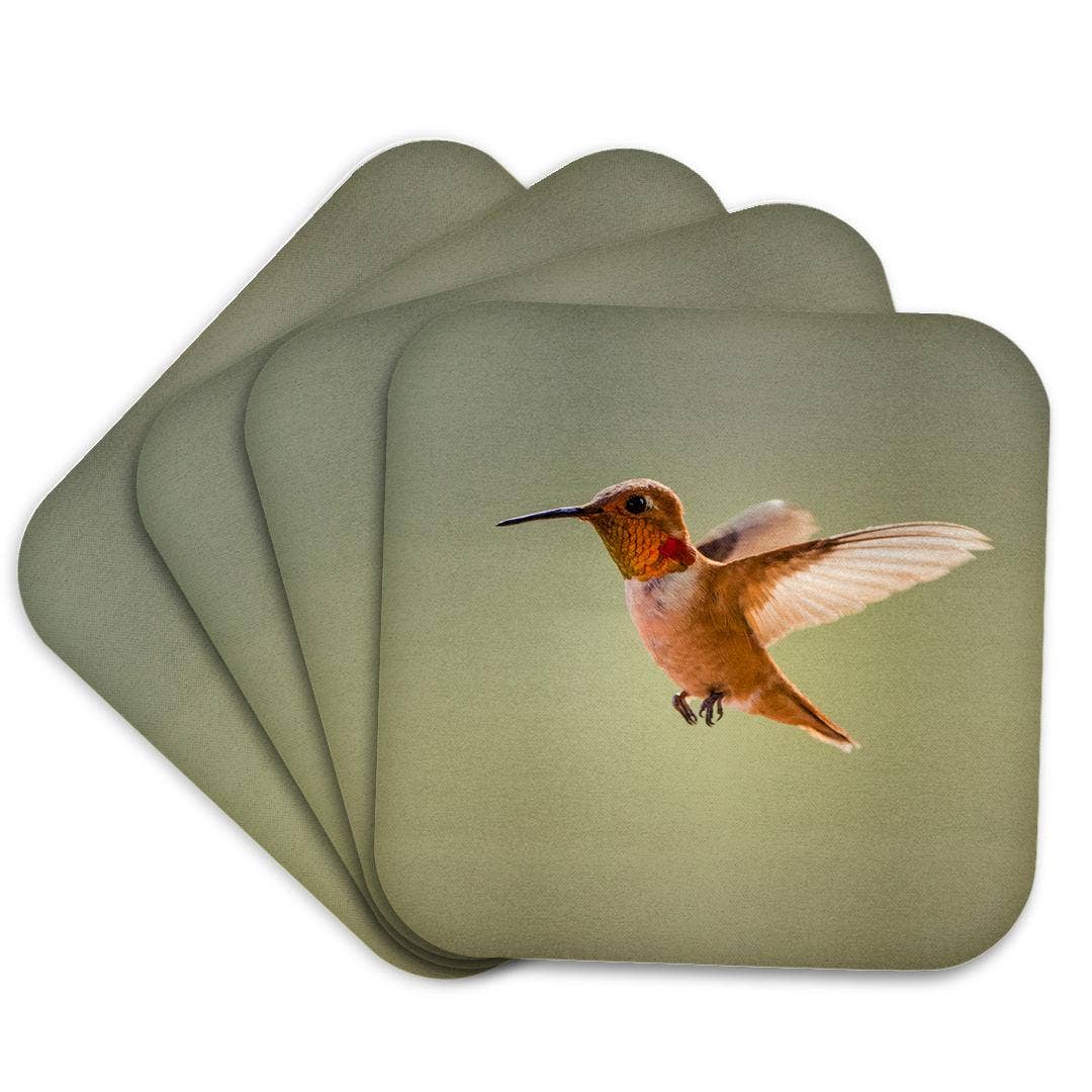 3dRose – wholesale Coasters – 3dRose, Rufous hummingbird, Selasphorus rufus. , Coaster7