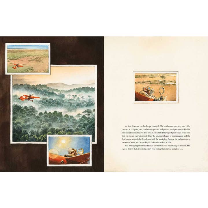 Simon & Schuster - Wholesale Preschool Book (3-5) - Earhart by Torben Kuhlmann6