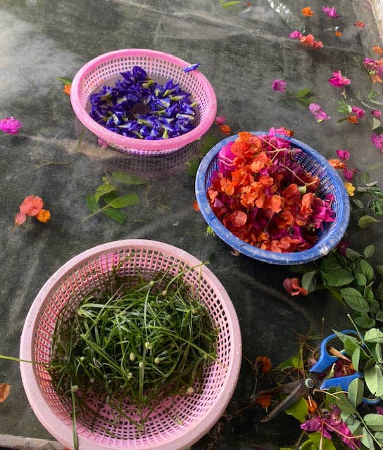 Wooven - Wholesale Stationery/Notecard Set - Mulberry Paper Notecards w/ Real Flowers1