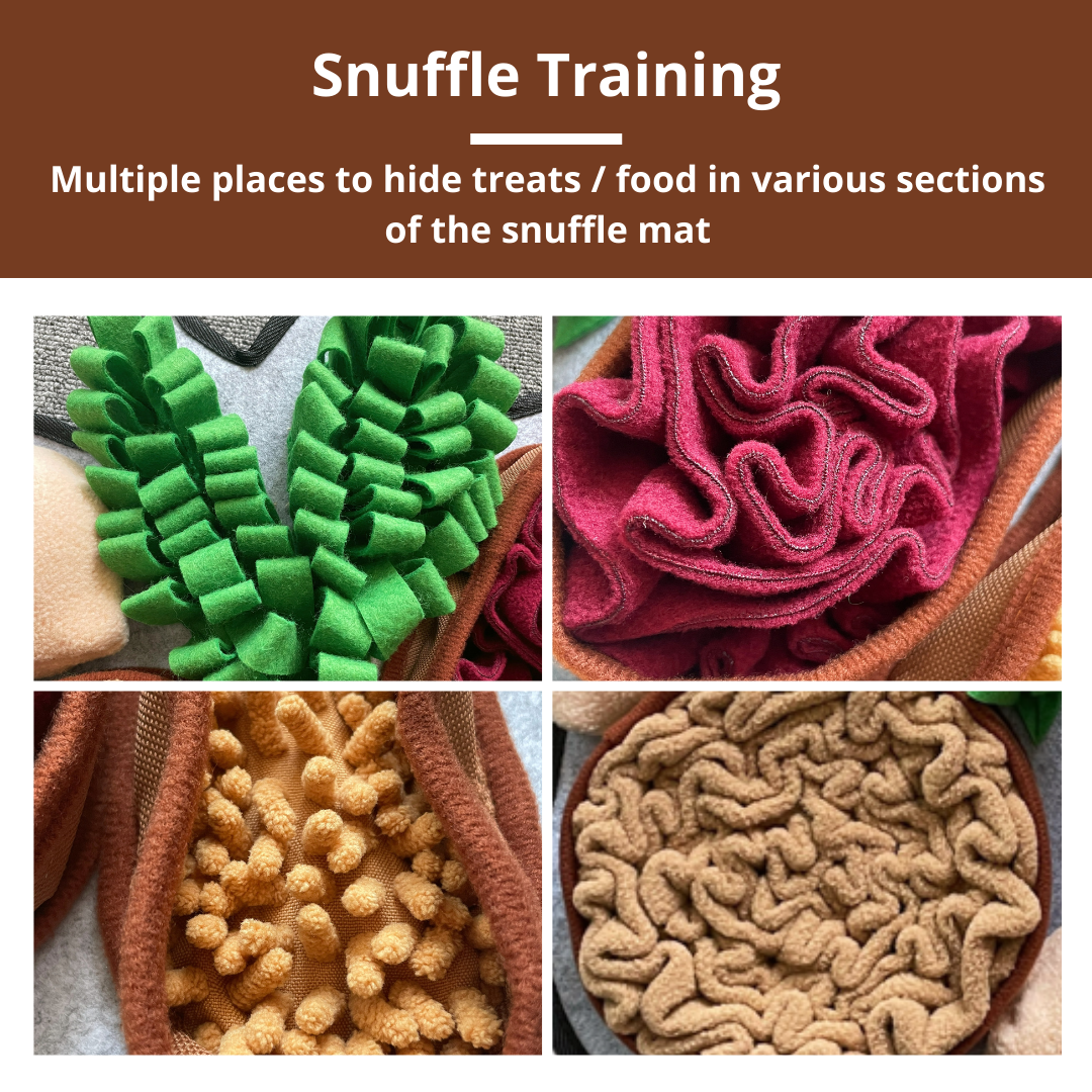 PawzNDogz – wholesale Pet mat – Dog – Chonky Peanuts™ Snuffle Mat | Challenge Level 24