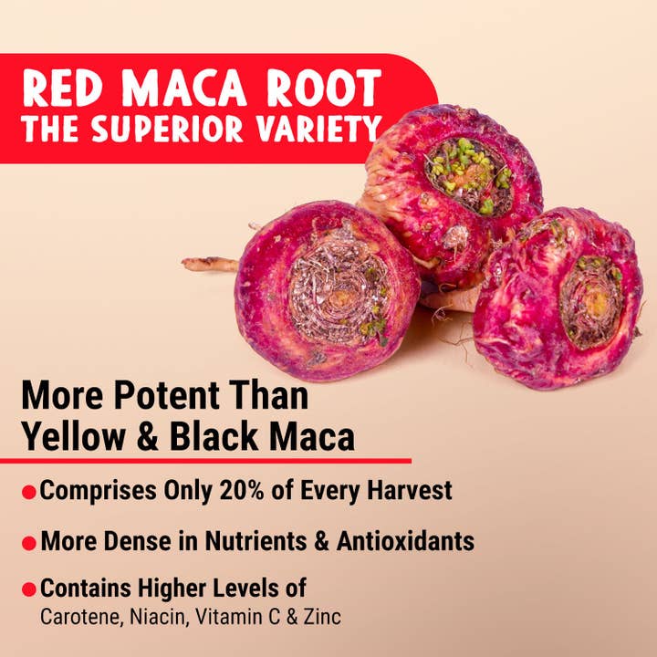 Maju Superfoods - Wholesale Oral Supplement/Vitamin - MAJU Organic Red Maca Root Capsules (120ct)
