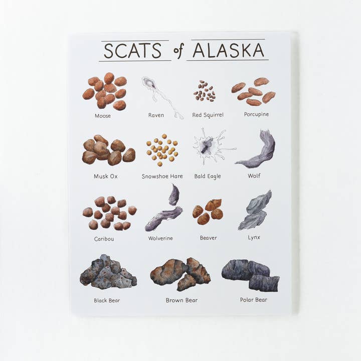 Tiny Nest Studio - Wholesale Art Print - Scat of Alaska Art Print