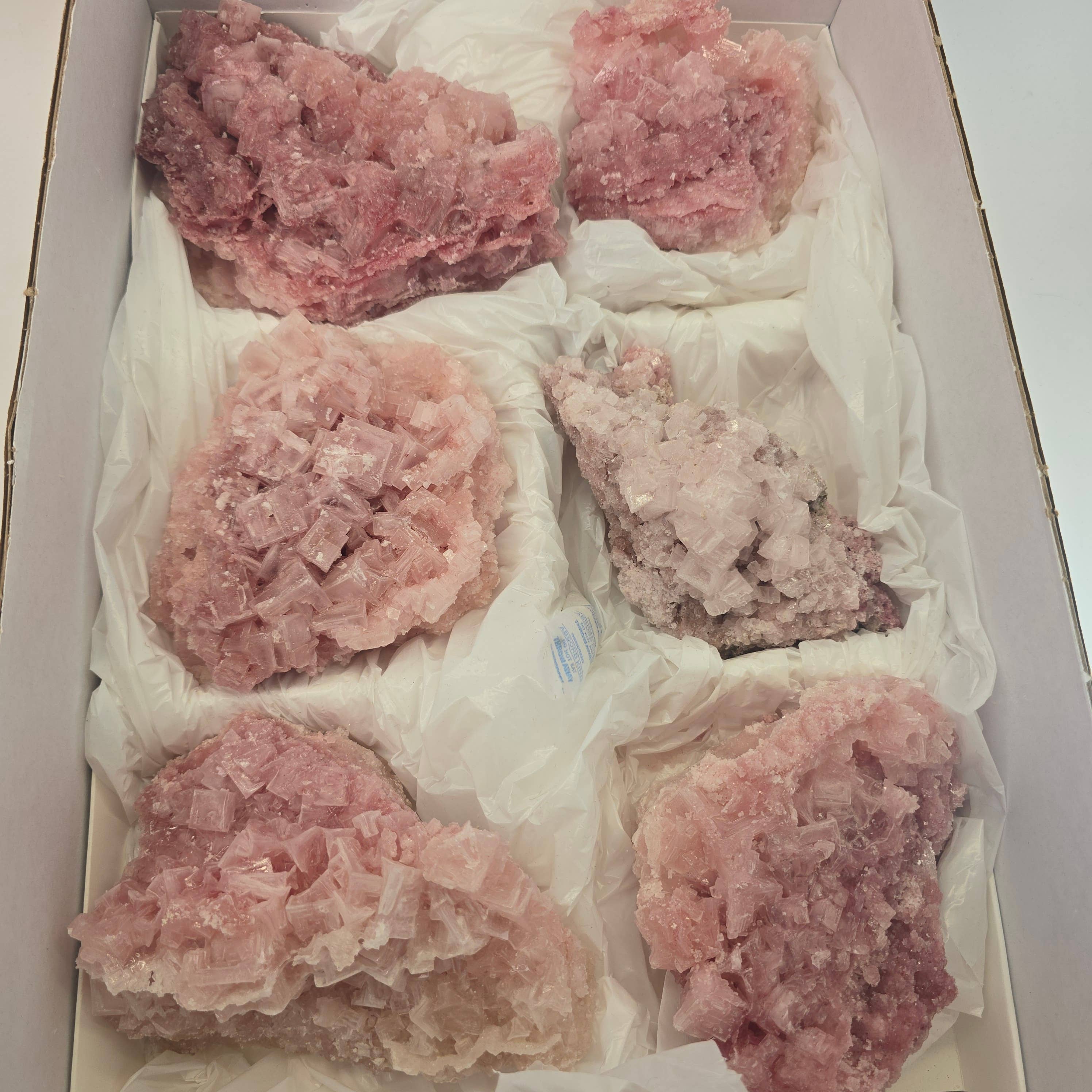 Aquamarine Daydream Wholesale - Wholesale Spiritual Stone/Crystal - 6pc Pink Halite ~ Bulk Mineral Flats ~ Crystal Specimens #50