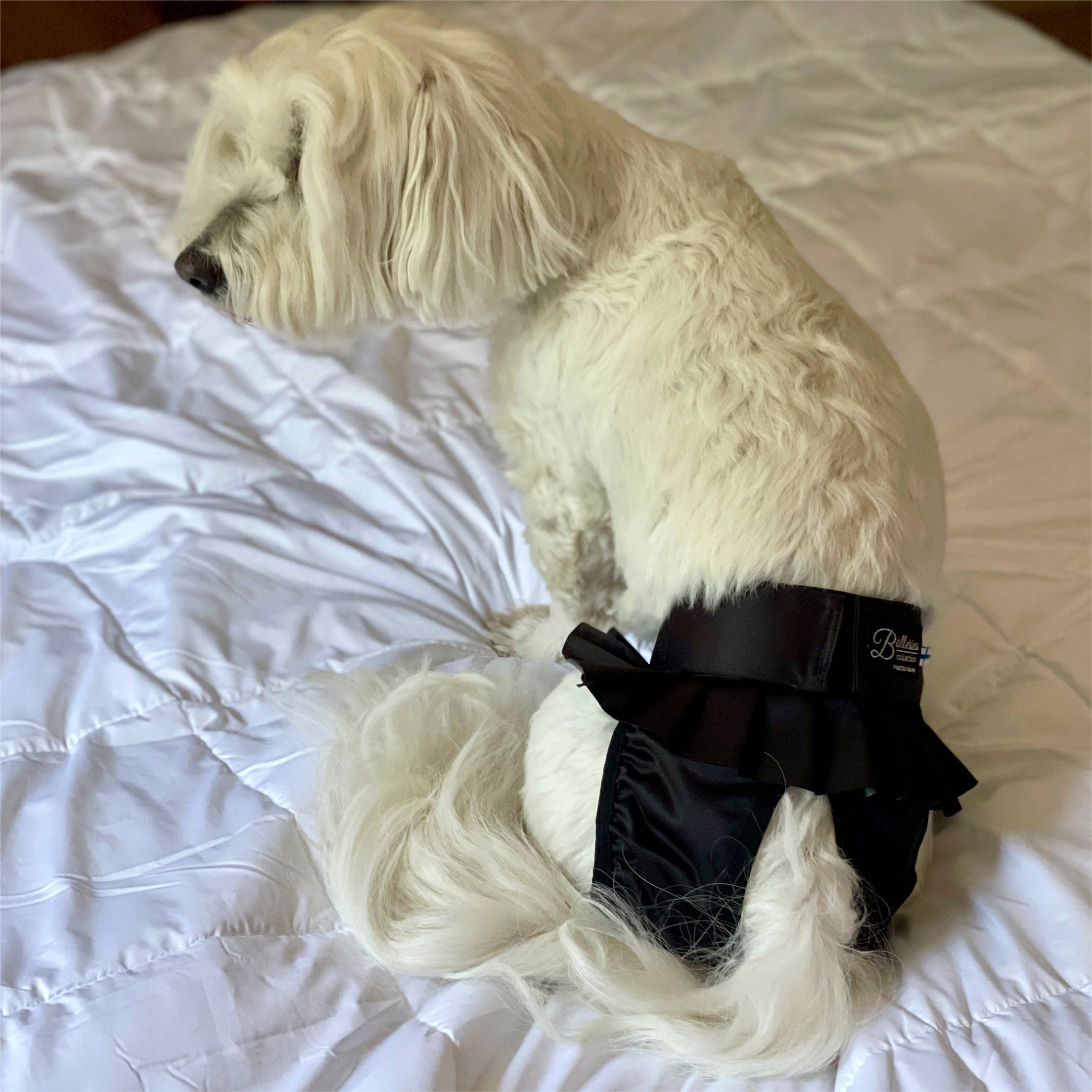 FINNERO – wholesale Husdjursblöja - Hund – FINNERO Ballerina hundhygienbyxor, 5 färger, tvättbara31