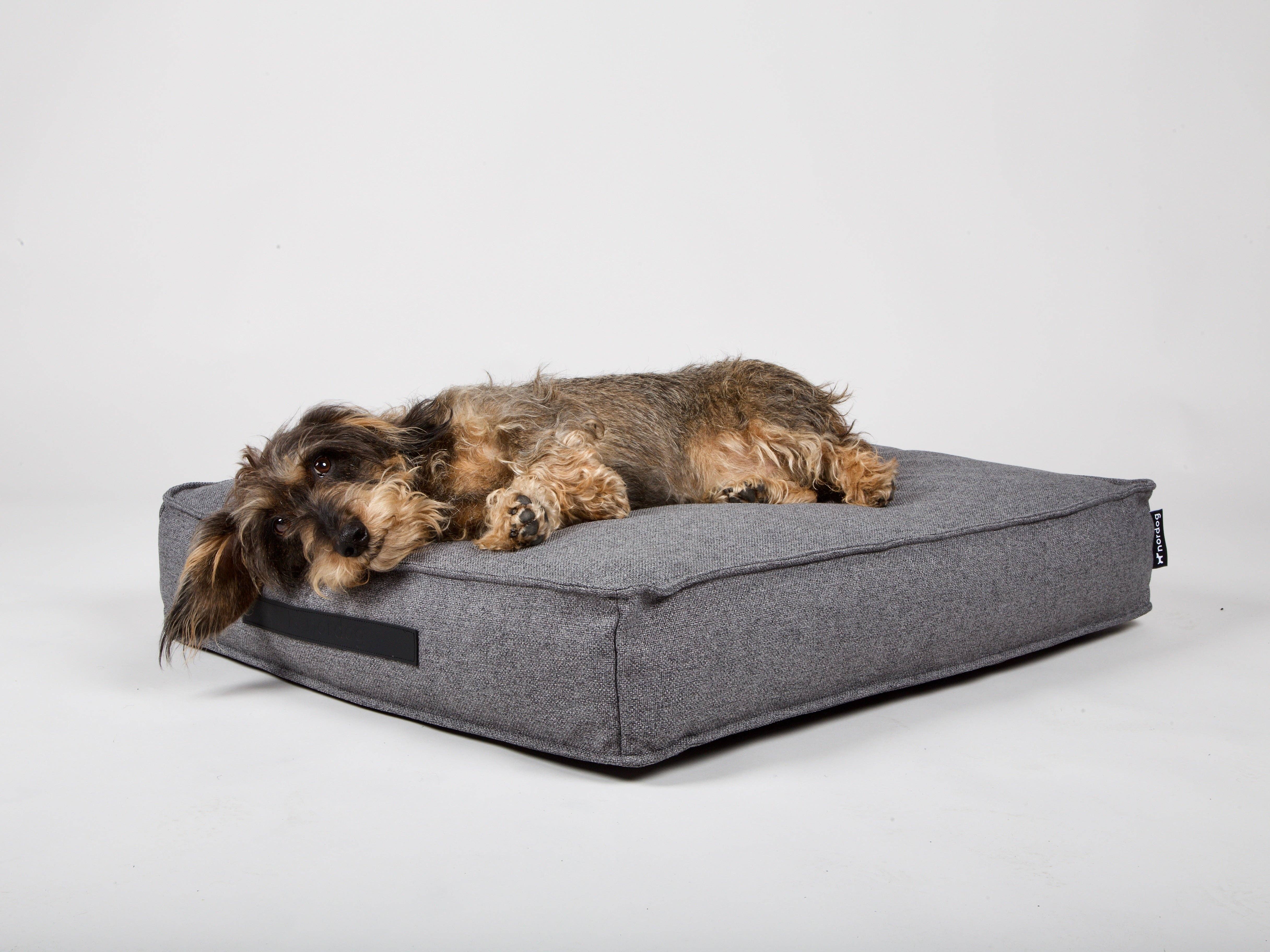 Anthracite Coussin pour chien Hygge Anthracite en vente sur Faire5