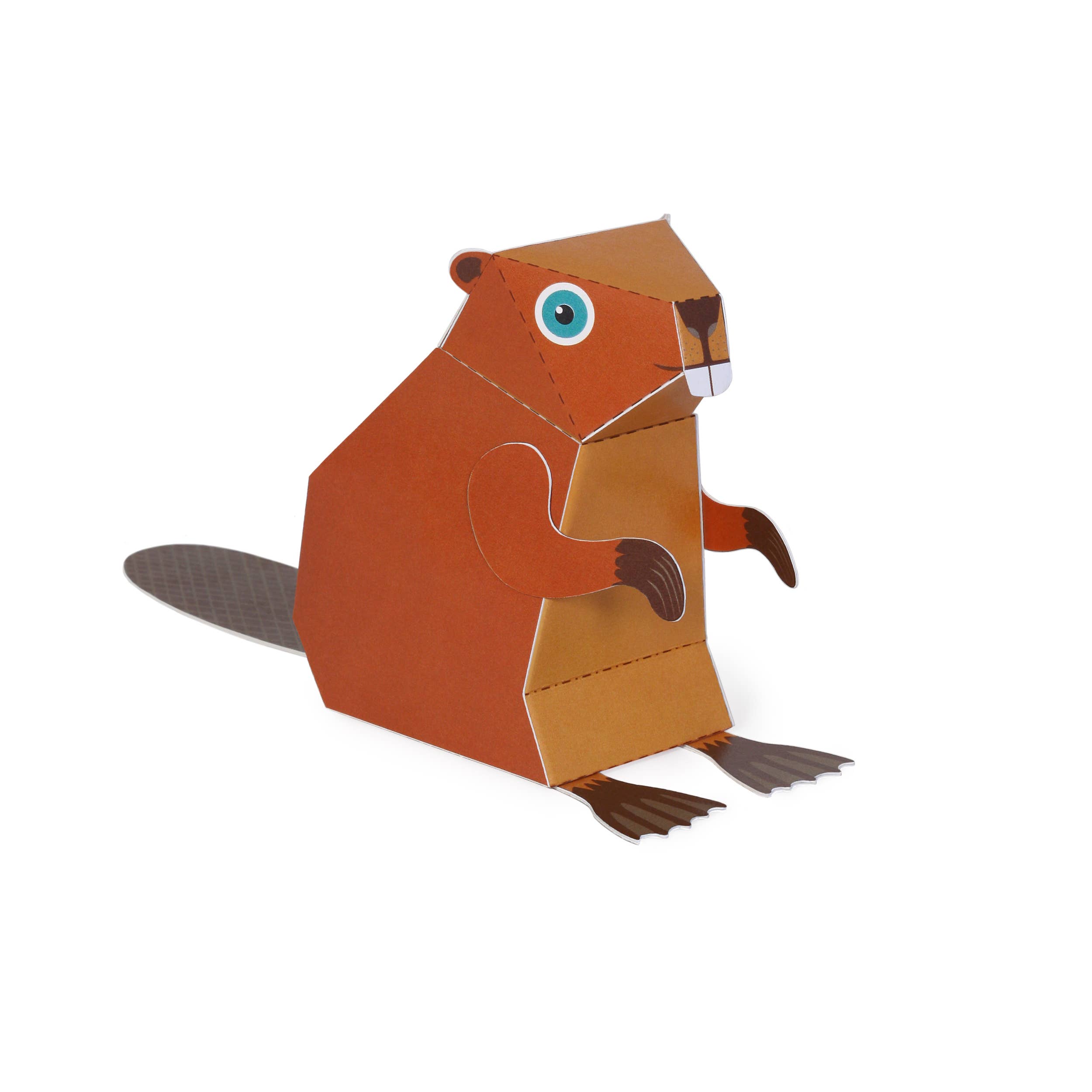 pukaca - Wholesale Postcard - Beaver Postcard2