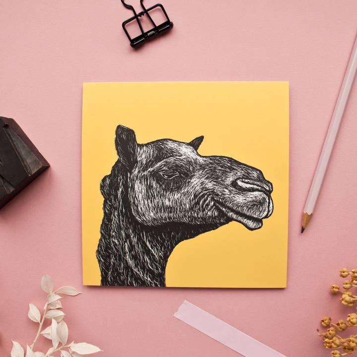 Katja Rub - Wholesale Postcard - Postcard Camel2