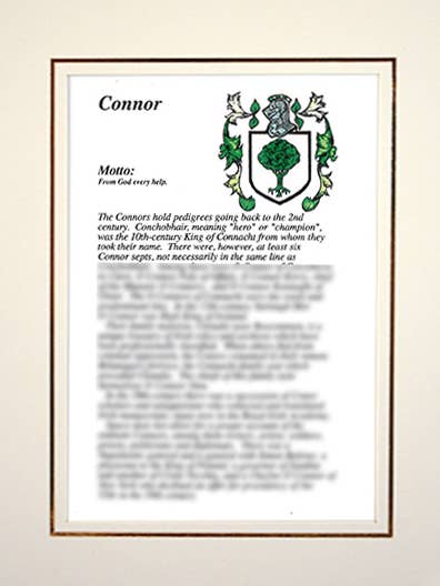 Connor for wholesale by Family Histories