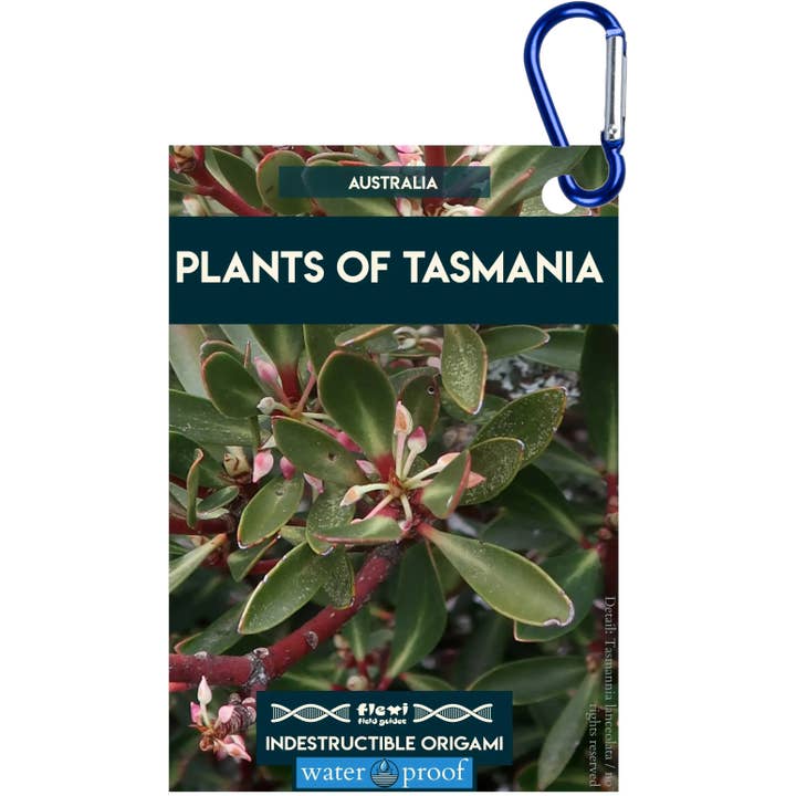 Piante della Tasmania-Indistruttibile Origami per la vendita all'ingrosso da parte di Flexi Field Guides